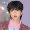 TF家族-张桂源