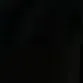 ditmetiktok2505
