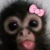 mxmariaaxx