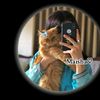 user92116926561234