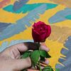 user6819382131985