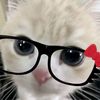 bri_xd84
