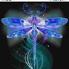 purpledrangonfly