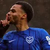 hampshireisblue