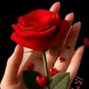 cemile.tekin04