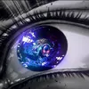 iinsults7