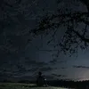 mo_1ws