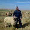 sidrafarms