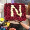 nana.den21