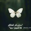 user9170011790327