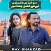 ray.shahzad52