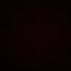 beni_4442