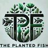 the.planted.fish