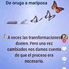 la.uruga8
