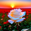 lg.easin.gameryt21