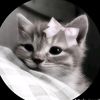 mariya_7076