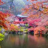 Soundscape From Nippon