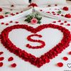 user13655476177777