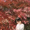 nguyenhang2791997x