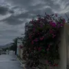 l_p_h7