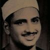 Seif Alsapagh