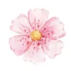 hajar12_22