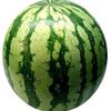 watermelon.2552