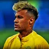 bos_taliquida_n44