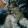basyir.ahmadyusuf3