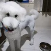 user8103100229904