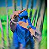 abid.safi73