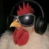 kdkugm