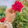 user56081020995796