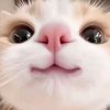 justsssssnaa25