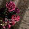 brar_218