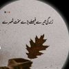 saminayousuf74