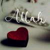 user4610223687818
