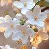 nguyn.huong.ly2