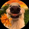 sonnikaur6