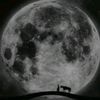 royel.saif1