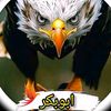 abubakarkhanqqkk