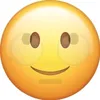 r4_reem7