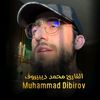 mohammed.dibirov5