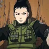 shika0778