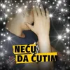 user81910368131028