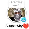 aloenk.why4