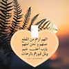 user7281492875611