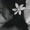 xyz.sya50