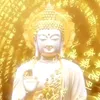 hoangkimdat11