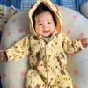 qanh22625